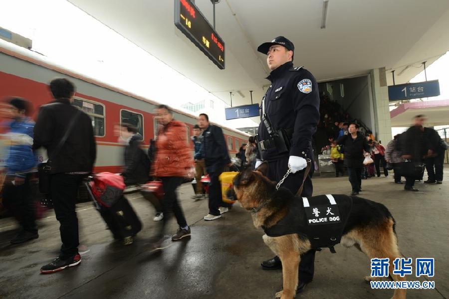 #（关注春运）（1）警犬上岗保春运