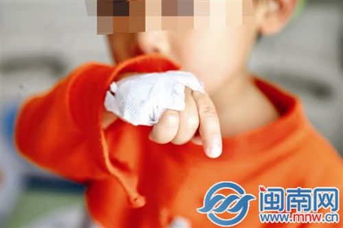 漳州3岁童动物园看野猪小指被吞食 园方：愿赔偿