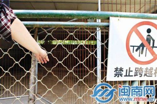 漳州3岁童动物园看野猪小指被吞食 园方：愿赔偿