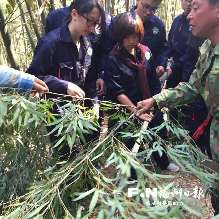 台湾大学生来榕学习饲养熊猫