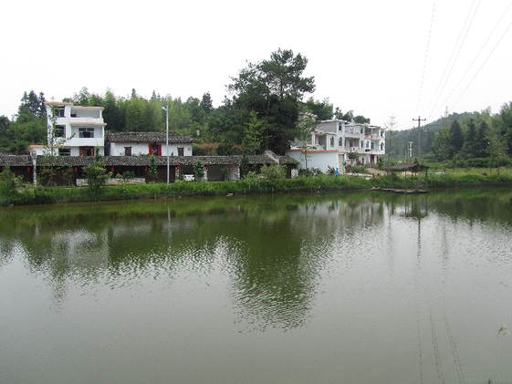 南坑村村容整洁，环境优美。